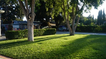 Enlarge photo 58