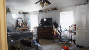 Enlarge photo 34