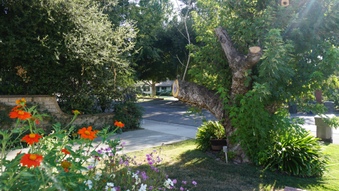 Enlarge photo 14