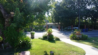 Enlarge photo 15