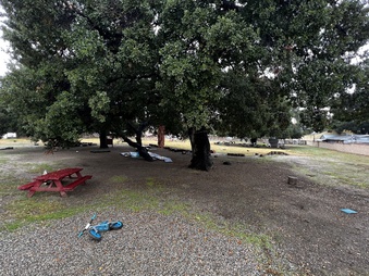 Enlarge photo 18