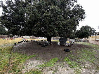 Enlarge photo 22