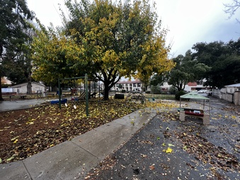 Enlarge photo 10