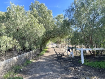 Enlarge photo 21