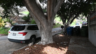 Enlarge photo 6