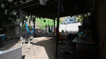 Enlarge photo 11
