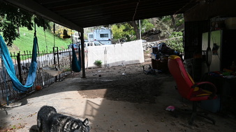 Enlarge photo 15