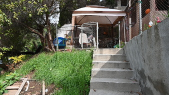 Enlarge photo 20