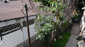Enlarge photo 24