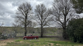 Enlarge photo 19
