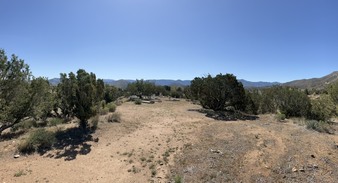 Enlarge photo 47