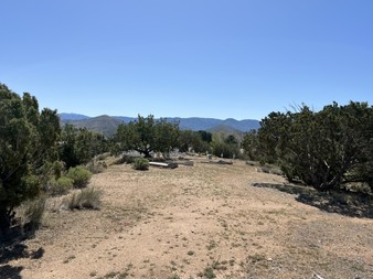 Enlarge photo 53