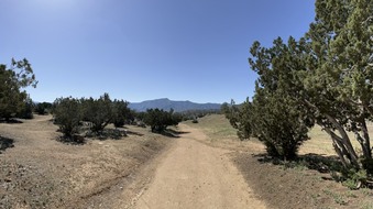 Enlarge photo 3