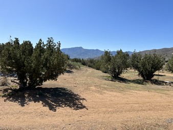 Enlarge photo 31