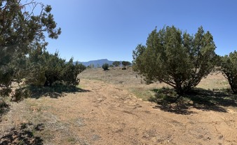 Enlarge photo 61