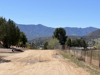 Enlarge photo 82