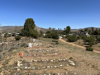 Enlarge photo 17