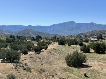 Enlarge photo 18