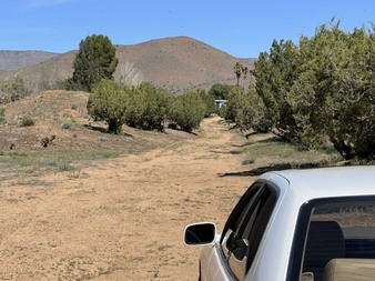 Enlarge photo 63