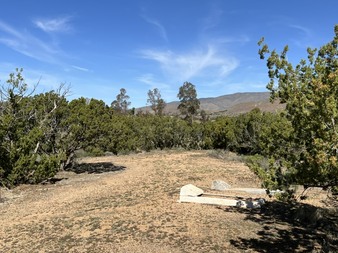 Enlarge photo 55