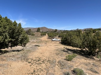 Enlarge photo 49