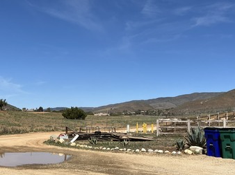 Enlarge photo 78