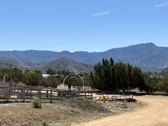 Enlarge photo 81