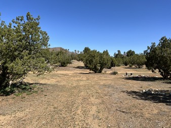 Enlarge photo 32