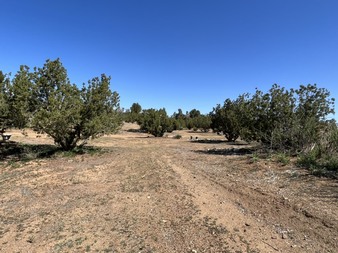 Enlarge photo 33