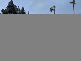 Enlarge photo 49