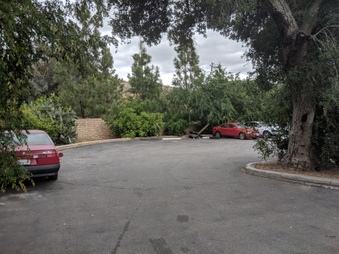 Enlarge photo 42