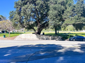 Enlarge photo 34