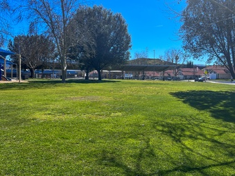 Enlarge photo 4