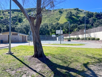 Enlarge photo 10