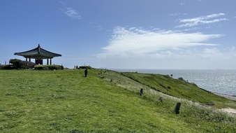 Enlarge photo 36