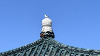 Enlarge photo 12