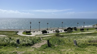 Enlarge photo 35