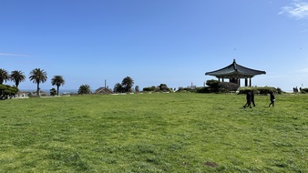 Enlarge photo 34