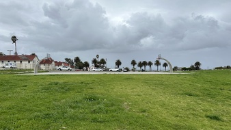Enlarge photo 42