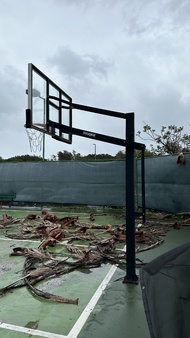 Enlarge photo 26