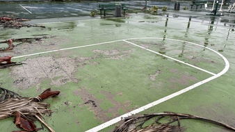 Enlarge photo 24