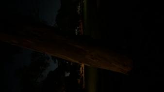 Enlarge MOV 3