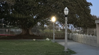 Enlarge photo 11