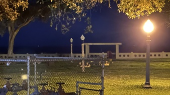 Enlarge photo 42
