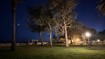 Enlarge photo 33