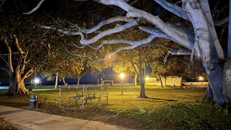 Enlarge photo 41