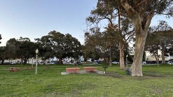Enlarge photo 5