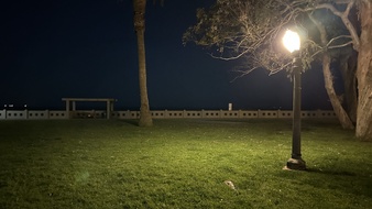 Enlarge photo 40
