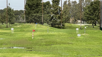 Enlarge photo 40