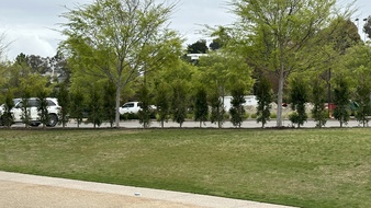Enlarge photo 32
